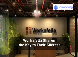 Workafella Shares the Key to Their Success